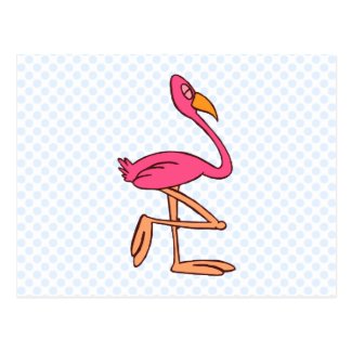 Francisco Flamingo Post Cards