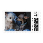 Franco and Misty Stamps