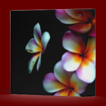 frangipani binder binders