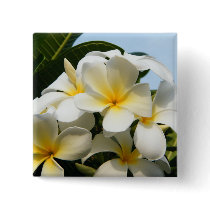 Frangipani Bliss Pinback Buttons