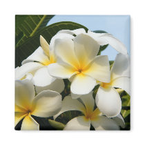 Frangipani Bliss Refrigerator Magnet