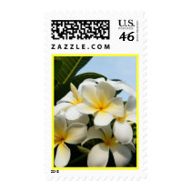 Frangipani Bliss Postage Stamps