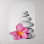 Frangipani Calm Posters