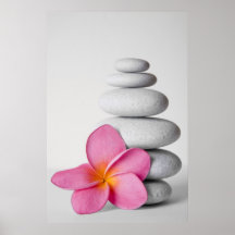 Frangipani Calm Posters