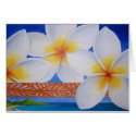 FRANGIPANI cards by zoom FRANGIPANI cards