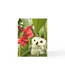 Frangipani cards by Heartworks Frangipani cards
