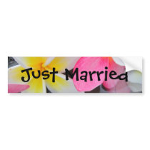 Frangipani Fever Bumper Sticker