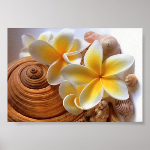 Frangipani flower print