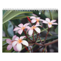 Frangipani Flowers Calendar