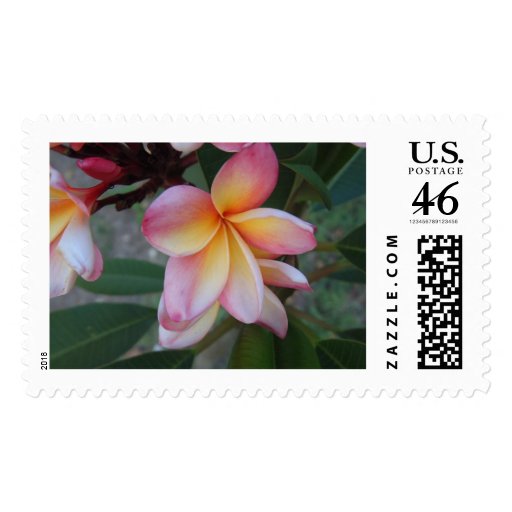 Frangipani Flowers Stamps