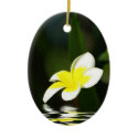 Frangipani in Water ornaments