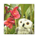 Frangipani magnets by Heartworks Frangipani magnets