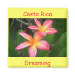 Frangipani Fridge Magnet
