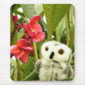 Frangipani mousepads