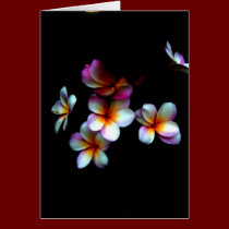 frangipani notecard cards