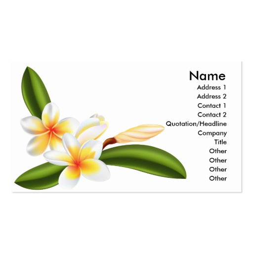 frangipani or plumeria flower business cards