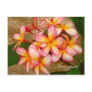 Frangipani Post Card