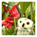 Frangipani posters