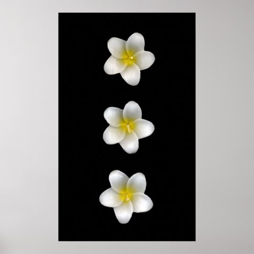 frangipani print