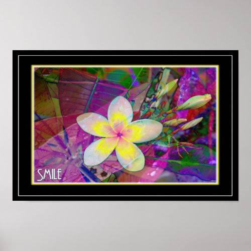 Frangipani poster print