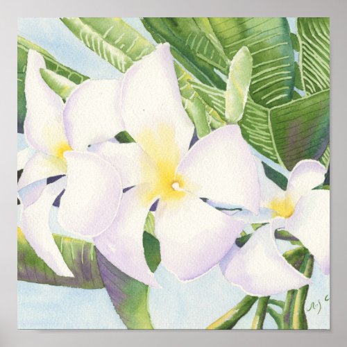 Frangipani Print print