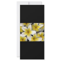 Frangipani rackcards customized rack card