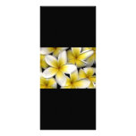 Frangipani rackcards customized rack card