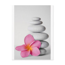 Frangipani Zen Post Cards