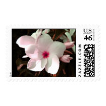 Frangipinkie postage