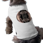 Franken Vamp Pet T-shirt