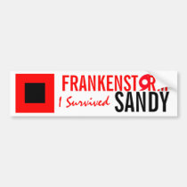 Frankenstorm Sandy Hurricane Bumper Sticker bumper stickers