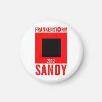 Frankenstorm Sandy Hurricane Magnet 6 magnets