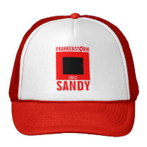 Frankenstorm Sandy Survivor Hat 7 hats