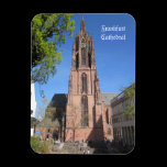 Frankfurt Cathedral magnets