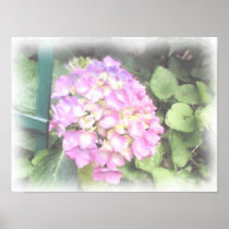 Frankfurt Flower Poster