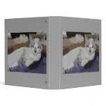 Frankie 1 binders