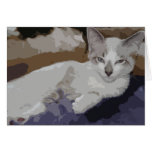 Frankie 1 card