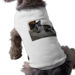 Frankie 5 pet tee
