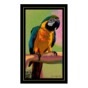 Frankie posters