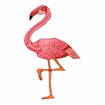 Franklin Flamingo Photo Sculpture