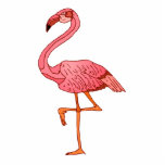 Franklin Flamingo Photo Sculpture