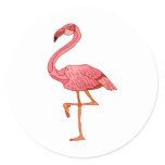 Franklin Flamingo Stickers