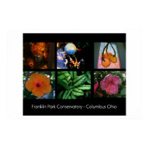 Franklin Park Conservatory Poster posters by diosaperdida Franklin Park Conservatory Poster posters