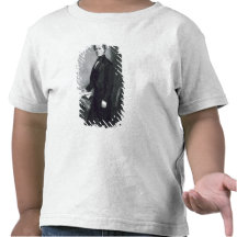 Franklin Pierce, 14th President of the United Stat T-shirt