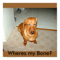 Franky The Dachshund Poster posters by Hypermetroidsamus Franky The Dachshund Poster posters