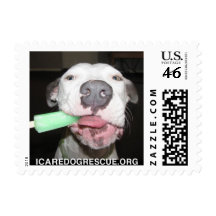 Franqueo del perro del Popsicle