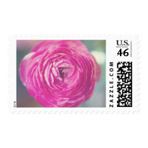 Franqueo rosado hermoso de la flor