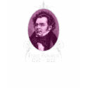 Franz Schubert t-shirts