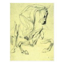 Franz von Stuck - Horse study Postcard
