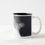 frasco de la Plano-parte inferior Taza
